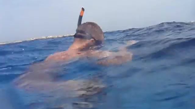 Freediving - in a Red sea, Hurgada