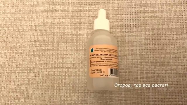 438 Посев семян перца на рассаду смотреть онлайн