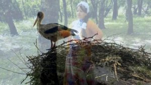 Земля родная - Марина Девятова