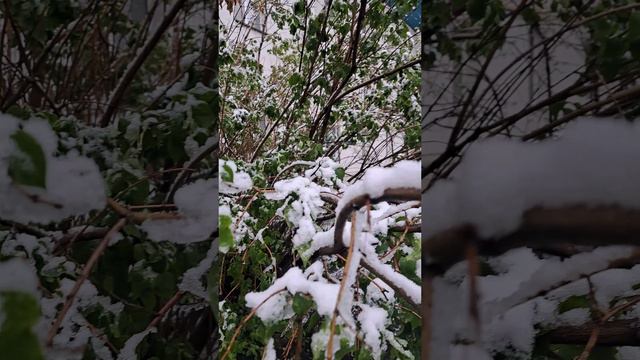 Красота природы в асмр