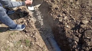 Дренаж в огороде