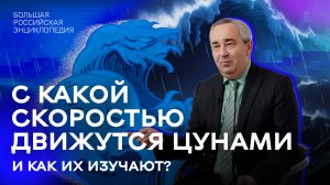 С какой скоростью движутся цунами и как их изучают?