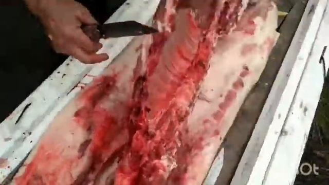 Разобрали свинью!??? смотреть онлайн