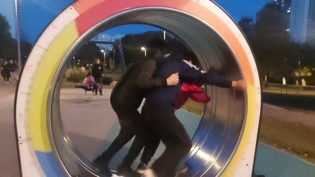 Хомяки-бобры пытаются попасть в больницу смотреть онлайн