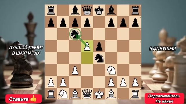 ДЕБЮТ ПОНЦИАНИ! ЛУЧШИЙ ДЕБЮТ В МИРЕ! +100 пунктов рейтинга!
