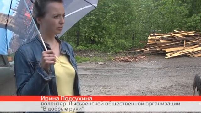 Будущий приют для бездомных животных