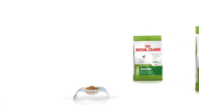 Рацион от ROYAL CANIN для собак миниатюрных размеров смотреть онлайн