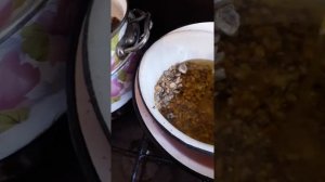 Мазь с живокостом, подмором и живицей. Рецепт от болей в суставах, мышцах и многое другое.