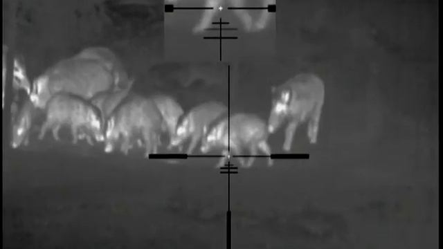 17.02.2018 pulsar apex xd75 lrf смотреть онлайн