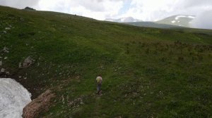 Поход на скалу Нагой-Кош, хребет Каменное Море, Лаго-Наки.