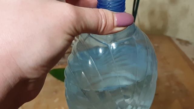 Какую орхидею я купила в Леруа?!...??? смотреть онлайн