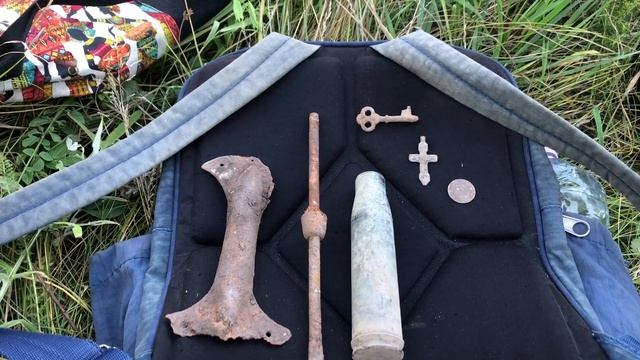 Поиск с металлоискателем в лесу принес редкие находки