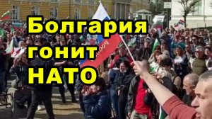В Софии и 46 других городах Болгарии десятки тысяч болгар скандировали «НАТО вон»