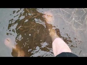 Краткое видео одной из части пути, как я добираюсь на дачу. Часть 2. Дачные будни.