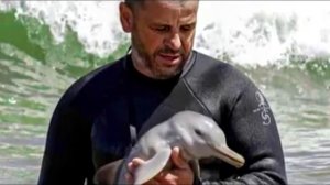 Мужчина спас Дельфинёнка, не догадываясь, что скрывается в морской пучине...