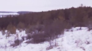 Не верьте лжепророкам Израиля Элизабет Элишева, Марине Гершкович и Владимиру Киму