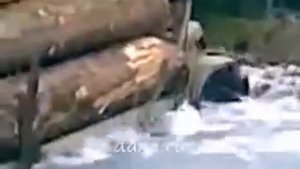 Taiga saga! Таежная сага!  (www.vertikalnet.ru)