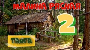 0827 - МАКАРЫЧ В ТАЙГЕ _ ТАЁЖНАЯ МАЛИНА _ МЕДВЕДЬ В КУСТАХ _ ЖИЗНЬ В ЛЕСУ 2 из 2.mp4
