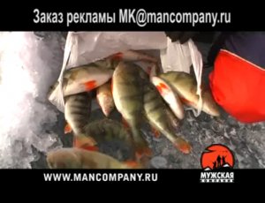 МК : Ловля окуня на мормышку по последнему льду