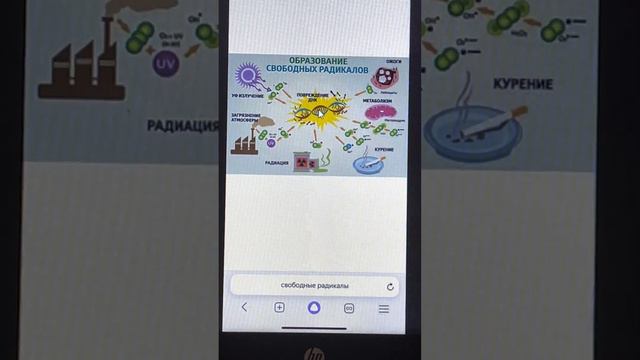 Часть 2 Антипаразитарка ,Гинкго Билоба .