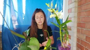Как ЗАСТАВИТЬ Орхидею ЦВЕСТИ❗ СЕКРЕТЫ ПЫШНОГО ЦВЕТЕНИЯ❗