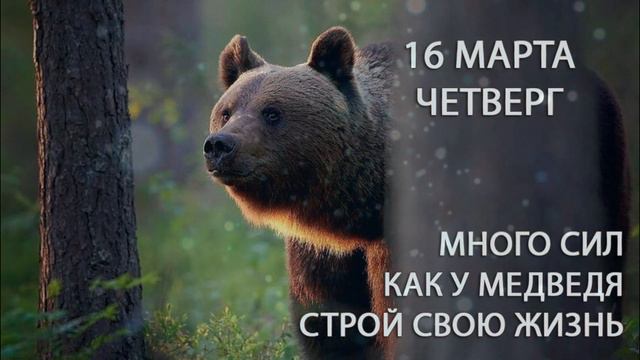 16 марта. Четверг. Меркурий в Рыбах. Время расслабленности ума. Не перенапрягайтесь!