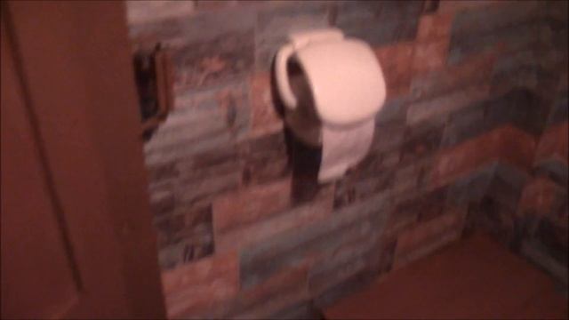 ЗАКОНЧИЛА РЕМОНТ ДАЧНОГО ТУАЛЕТА.СКРОМНО ,НО ЧИСТО! смотреть онлайн