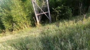 Охота на вепря.