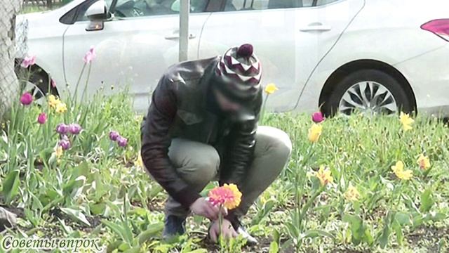 ➤Почему нельзя срывать цветы➤ Стоит ли рвать цветы➤ Чему надо научить своих детей➤ Природа смотреть онлайн