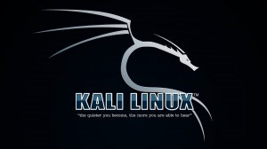 Урок 44 Анализ уязвимостей (Kali Linux полный курс)