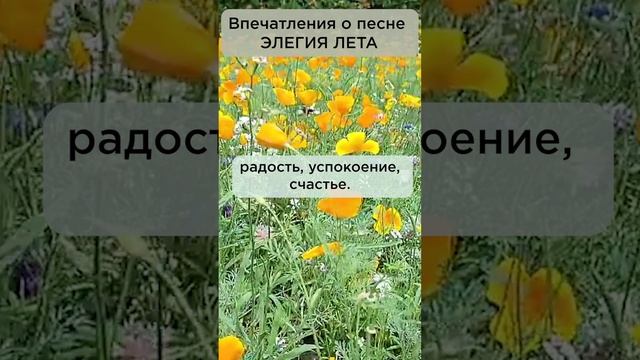 Такое тепло, умиротворение, радость, счастье! г. Новосибирск #сказочныймир #веснавдуше #элегиялета