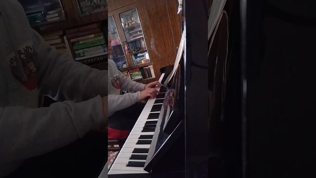 Mazurka Op. 17 N 2 Frederick Shopin part 1 ???????????⭐???? смотреть онлайн