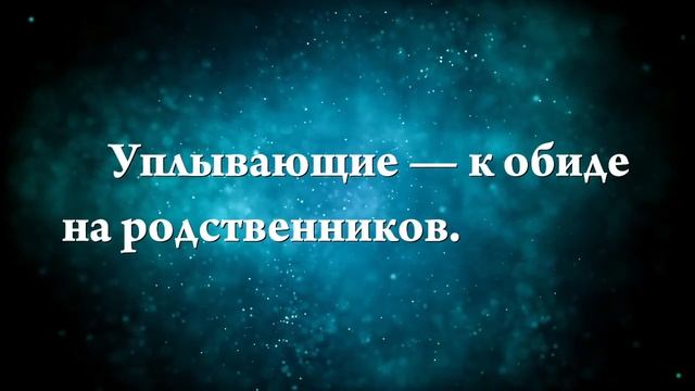 К чему снятся пингвины - Онлайн Сонник Эксперт смотреть онлайн