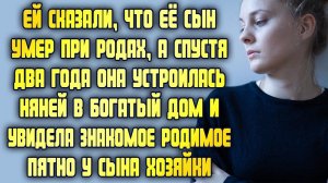 Потеряла сына при родах, а через 2 года устроилась няней и увидела родимое пятно у сына хозяйки