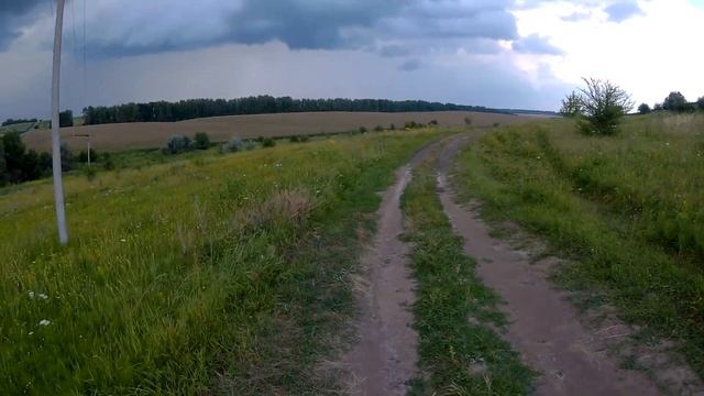 Поехали накосить коровам травы! часть1 смотреть онлайн