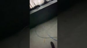 Покраска склада безвоздушным аппаратом,валиком,кисточкой #Промпокраскаспб