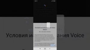 Как поставить ассистента "Ok Google" на главный экран! Обезательно читай описание!