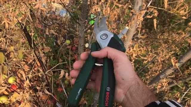 Супер Секатор \\ Bosch Easyprune