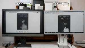 Dasung Paperlike 253 vs Onyx Boox Mira PRO 25" Comparison