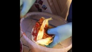 КИМЧИ: польза, рецепт и инструкция по приготовлению кимчи из пекинской капусты