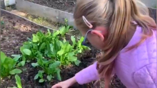 ПОЛЕЗНЫЕ ДЕЛА. ДЕТИ помогают родителям смотреть онлайн