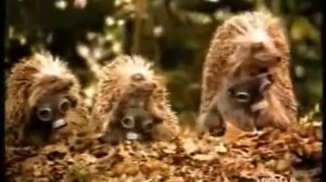 Смешная реклама  Ёжики и мерседес