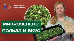 ПРОСТОЙ СПОСОБ ВЫРАЩИВАНИЯ МИКРОЗЕЛЕНИ!