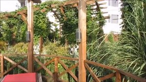 Коляндра отдыхает в отеле  Lexx Коктебель Крым