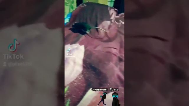 #шортс #shorts #rats #крысы #грызуны #грызун #крыса #животные #рекомендации #подпишись #топ #милота смотреть онлайн