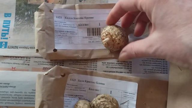 Обзор посылки из интернет-магазина Процветок смотреть онлайн