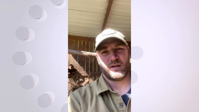 A virtual visit to Creation Kingdom Zoo смотреть онлайн