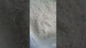 Жесть черви в рисе.