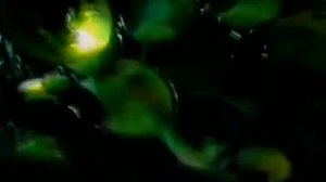 Children of Bodom - Downfall