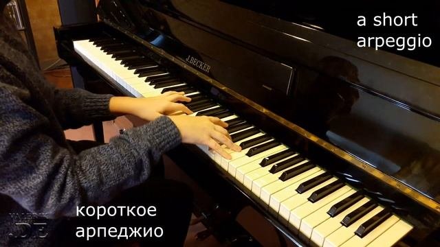 Гамма ми мажор | Gamma E-dur | ДМШ 41